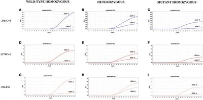 The −3279C>A and −924A>G polymorphisms in the FOXP3 Gene Are Associated With Viral Load and Liver Enzyme Levels in Patients With Chronic Viral Liver Diseases